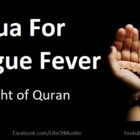 Dua of Safety From Dengue Fever in Light of Quran