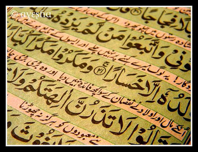 And We (Allah) have sent down this (Quran) with the truth