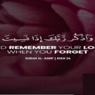 Remember Your Lord When You Forget | Quranic Verse