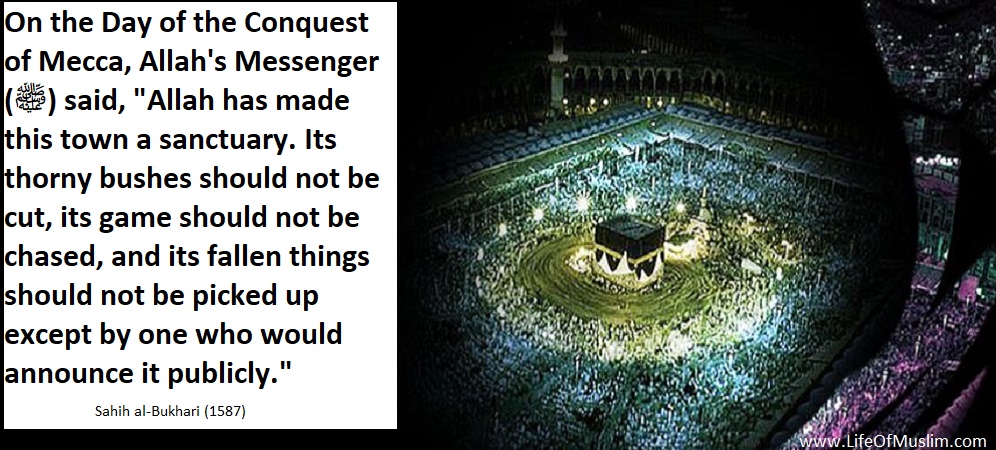 Allah Has Made This Town (Makkah) A Sanctuary