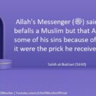 No Calamity Befalls A Muslim But That Allah Expiates Some Of His Sins