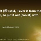 Fever Is From The Heat Of Hell, So Cool It With Water