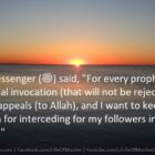 Allah's Messenger Said, For Every Prophet There Is One Invocation Surely Granted