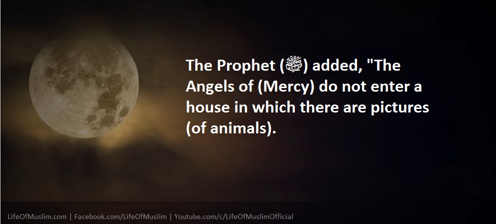 The Angels Of (Mercy) Do Not Enter A House In Which There Are Pictures