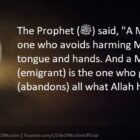 A Muslim Is The One Who Avoids Harming Muslims With His Tongue And Hands