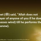 Allah Does Not Accept The Prayers Of Any One Of You Who Needs Ablution