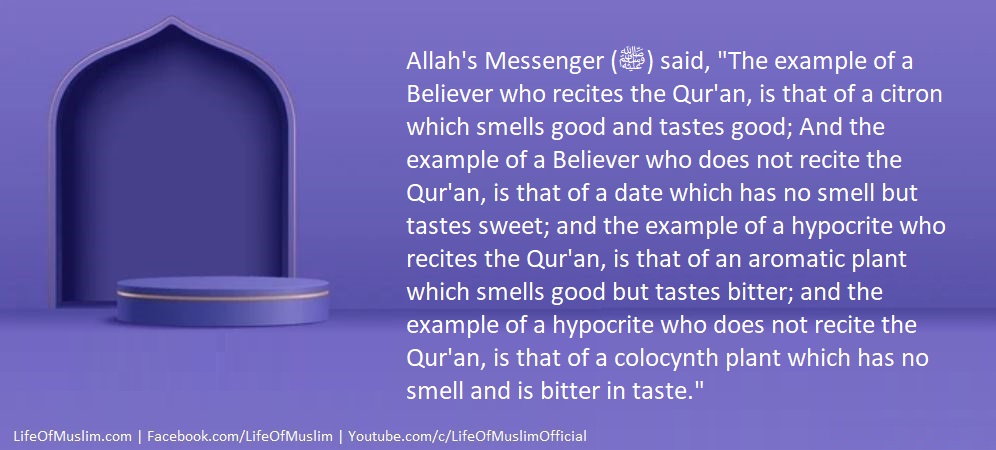 The Example Of A Believer And The Example Of A Hypocrite