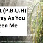 Prophet (P.B.U.H) Said, Pray As You Have Seen Me Praying