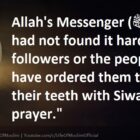 If I Had Not Found It Hard For My Followers I Would Have Ordered To Siwak For Every Prayer