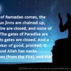 When The First Night Of Ramadan Comes,  The Gates Of Paradise Are Opened
