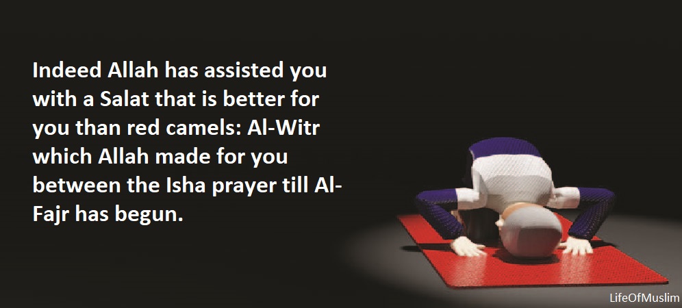 Allah Has Assisted You With A Salat That Is Better For You Than Red Camels