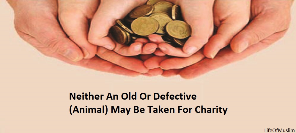 Neither An Old Or Defective (Animal) May Be Taken For Charity