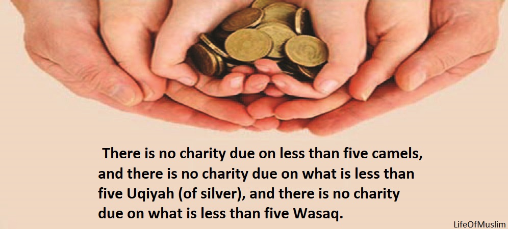 There Is No Charity Due On Less Than Five Camels