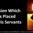 Compassion Which Allah Has Placed Within His Servants