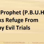 The Prophet (P.B.U.H) Seeks Refuge From Many Evil Trials