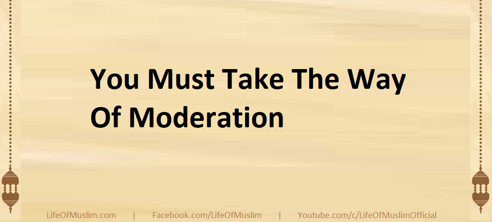 You Must Take The Way Of Moderation