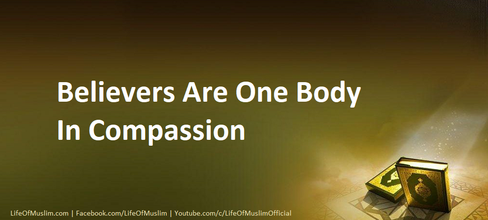 Believers Are One Body In Compassion