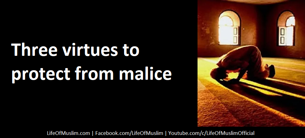 Three virtues to protect from malice