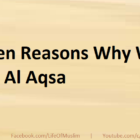 Eleven Reasons Why We Love Al Aqsa