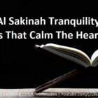 Ayat Al Sakinah Tranquility Verses That Calm The Heart