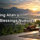 Remembering Allah’s Countless Blessings Nurtures Humility and Daily Gratitude Remembering Allah’s Countless Blessings Nurtures Humility and Daily Gratitude
