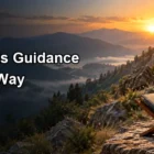 Striving Sincerely for Allah While Trusting His Guidance Along the Way
